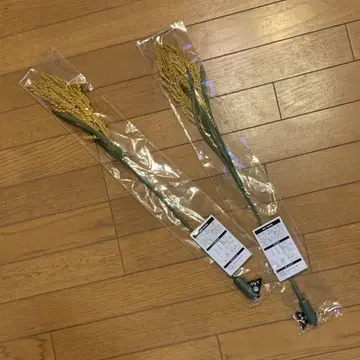 렉시 빛나는 INAHO 벼 이삭 2권