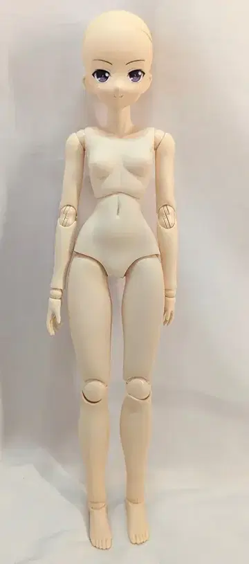 아존 1/3HAF 나는 친구가 적다 NEXT 초승달 밤하늘 일반 버전
