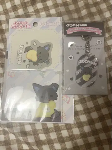 JOCHUM 피 하이 클리어 포토 카드 아크릴 키링 스티커