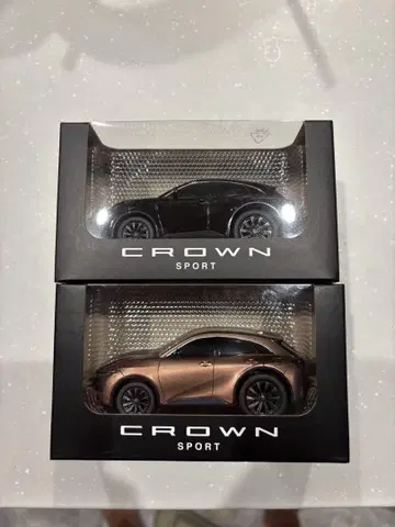 CROWN SPORT 미니카 블랙 브라운