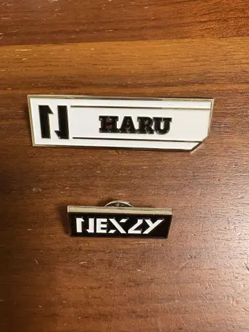 NEXZ 할 HARU NEX2Y 핀 배지 세트 넥스지