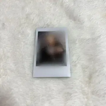 고베 세일러 보이즈 세라보 사키모토 리스트 재구매 고객 혜택 폴라로이드