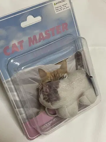 소프트 썸네일 소프트 썸네일 cat master