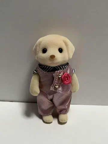 실바니안 패밀리 라브라도르 오빠 실바니아