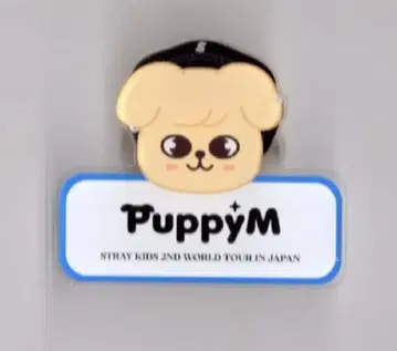 StrayKids SKZOO PuppyM Seungmin 네임 배지