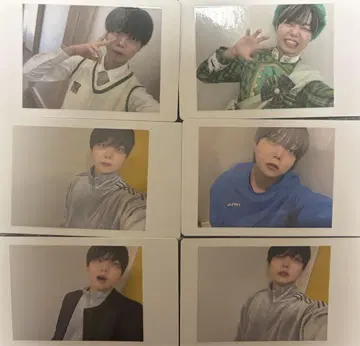 팬더 드래곤 아즈 하피카