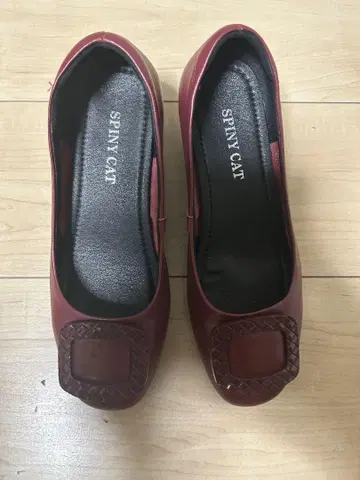 SPINY CAT 버건디 로퍼