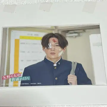 야노 군의 평범한 날들 특전 포토 카드 세트 (3장 세트)