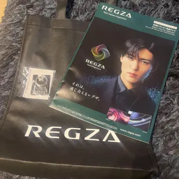 메구로 렌 REGZA 카탈로그 외