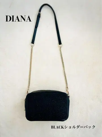 DIANA 블랙 숄더백