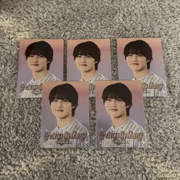 이나바 미치하루 프로카 5장 세트