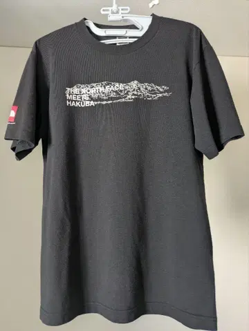 THE NORTH FACE HAKUBA 티셔츠 블랙