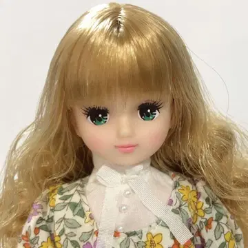 리카짱 캐슬 오타노시미 인형 아키짱