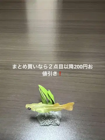 원색 담수어 도감 I 메다카