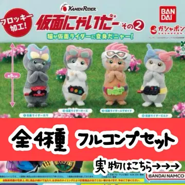 가면 네이다 2 풀 컴프 세트