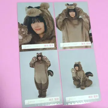사쿠라자카46 후지요시 카린 동물 인형옷