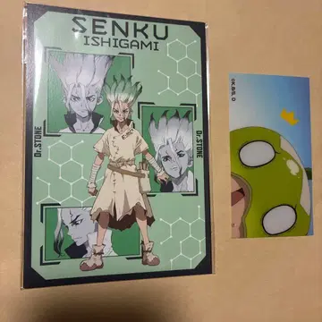 Dr.STONE 엽서 세트 점프 페스타 2025