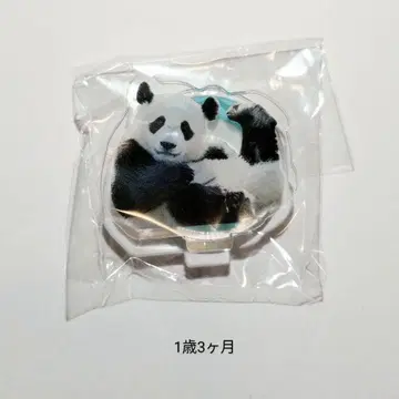카에데하마 아크릴 스탠드 가챠 어드벤처 월드 c