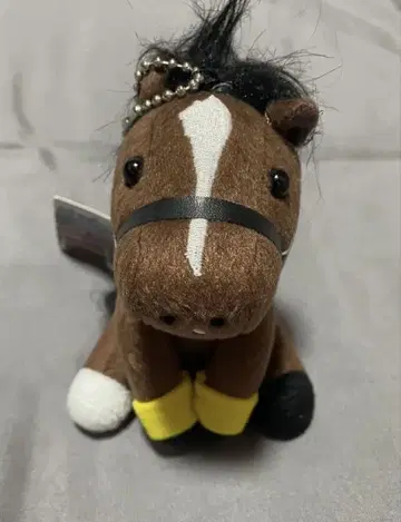 아이돌 호스 키타산 블랙