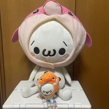 카오모지군 기구루미 2개 세트