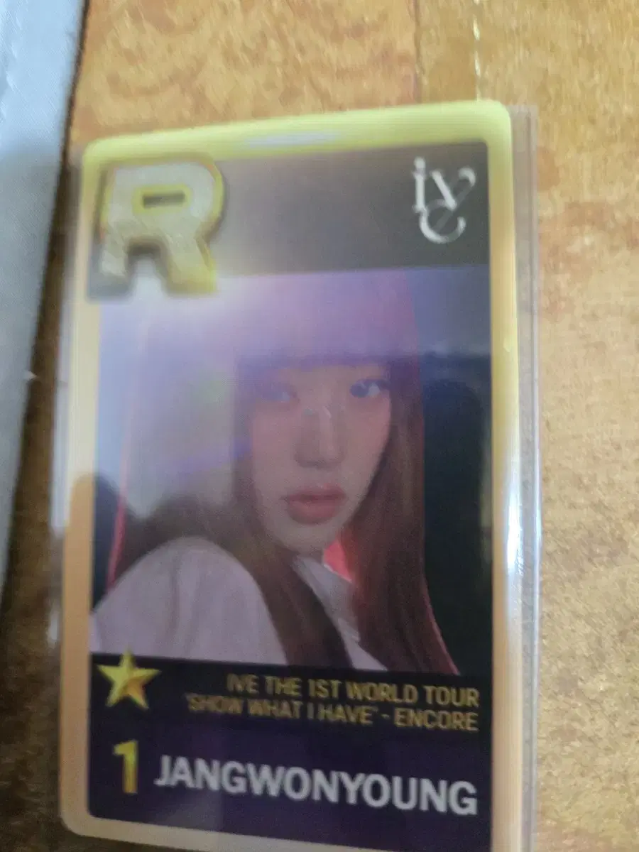 Ive concert wonyoung wts