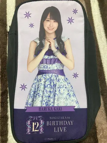 카키 하야카 응원봉 파우치 노기자카46