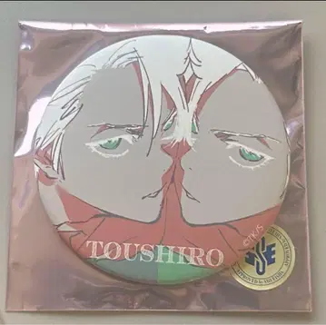 BLEACH 매트 캔뱃지 히노타니