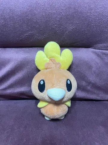 봉제 인형 아차모도르