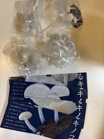 빛나는 버섯 마그넷 4개 세트