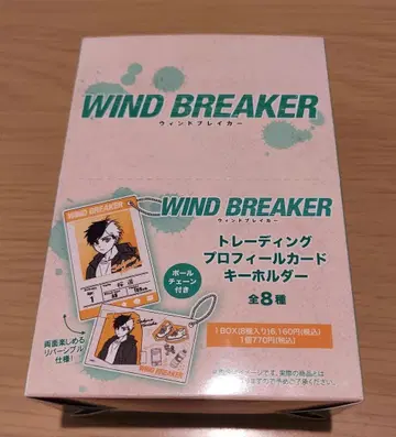 WIND BREAKER 프로필 카드 키링 1BOX(8종입)