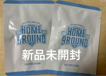 TWICE HOME9ROUND 팝업 아크릴 키링 펜미