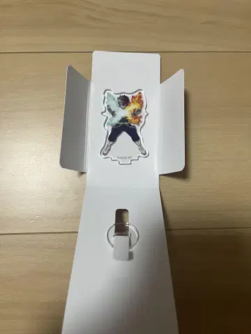히로아카 아쿠스타즈 토도
