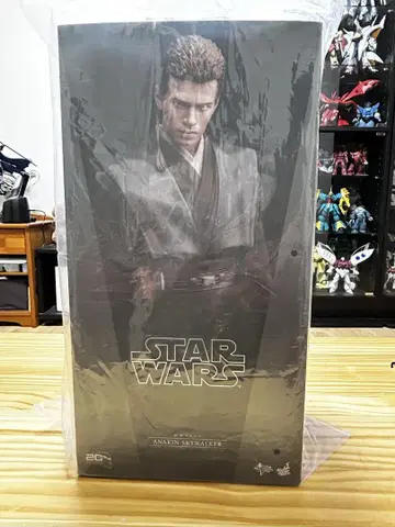 핫토이즈 Hottoys 아나킨 스카이 워커 EP2