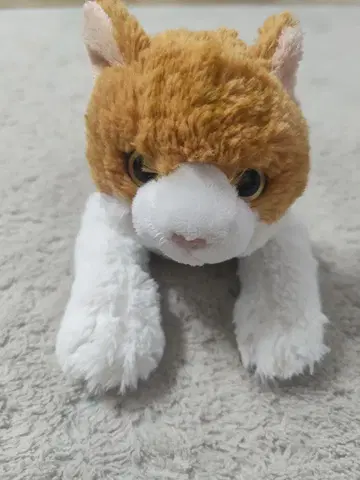 무릎 고양이 봉제 인형 M 사이즈