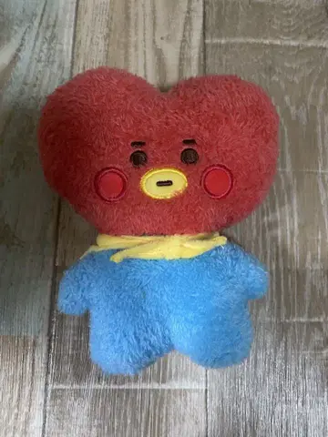 BTS 타톤 TATA V 태현