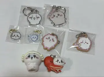 치이카와 세트