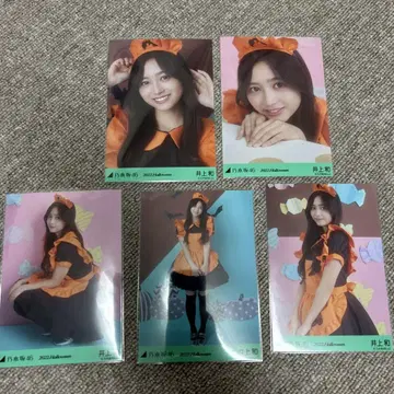 이노우에 카즈 할로윈 사진 5장 세트