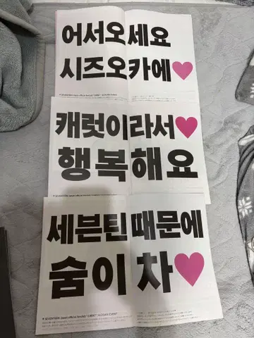 세븐틴 콘서트 슬로건