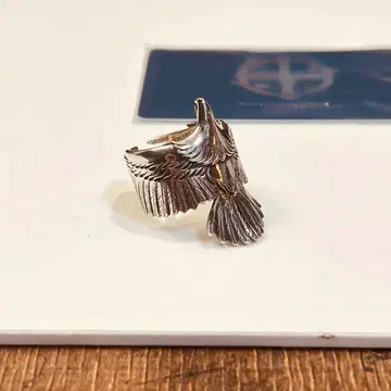 와시미 타로 TARO WASHIMI 와시미타로 eagle eg 925