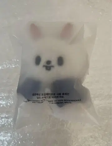 straykids 리노 Lee 비트 봉제 인형 10CM SKZOO e