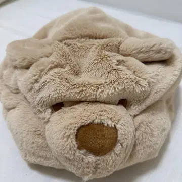 푸우 팬 캡