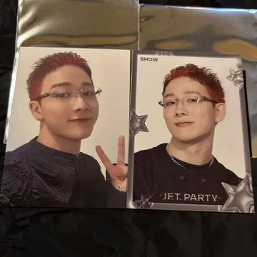다나카 아키라 포토 카드 시크릿 노멀 2종 세트