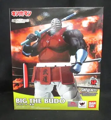 반다이 S.H.Figuarts 빅 더 무도