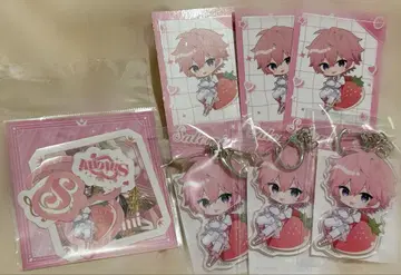 사토미 군 2025 Spring Goods 아크링 키링 포토 카드 씰