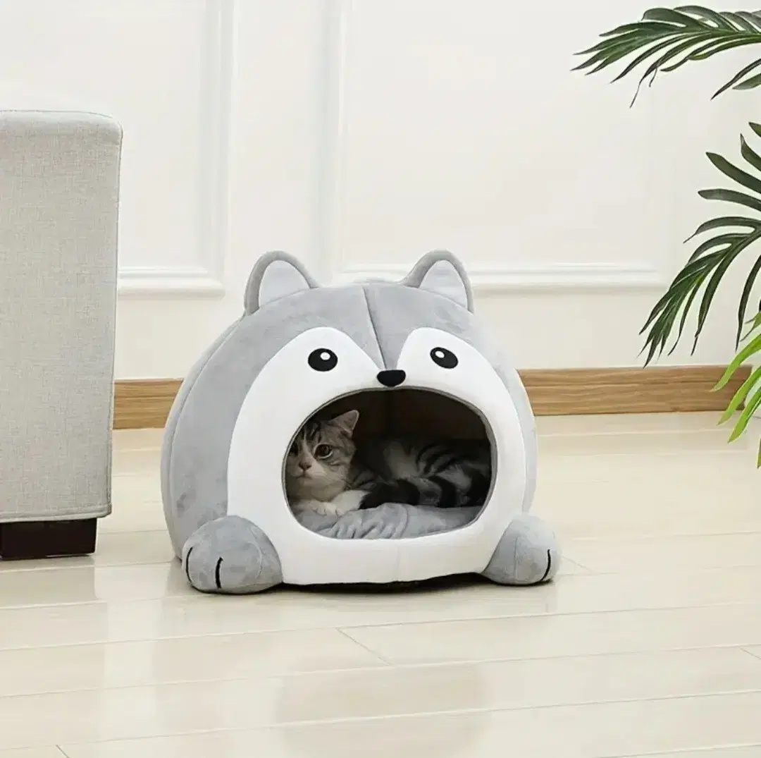 (미사용) 고양이 침대, 고양이 집 팝니다.