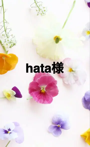 하타 님
