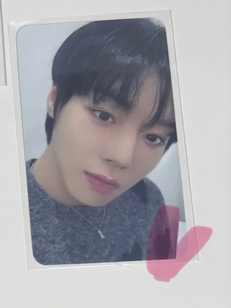 박지훈 포토카드 양도