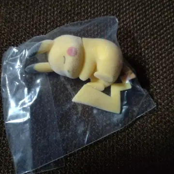 피규어 컬렉션 포켓몬스터 슬립 피카츄 와카쿠사 혼토