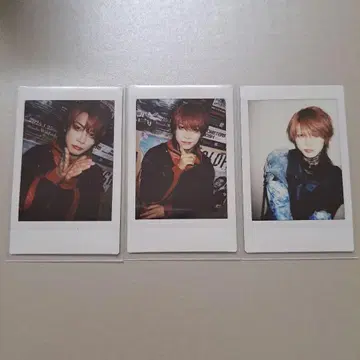 Rides In Revellion 시오 씨 폴라로이드