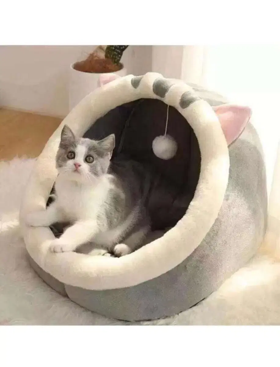 (미사용) 고양이 침대, 고양이 집, 고양이 방석 팝니다.